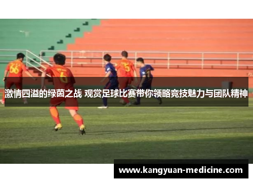 激情四溢的绿茵之战 观赏足球比赛带你领略竞技魅力与团队精神