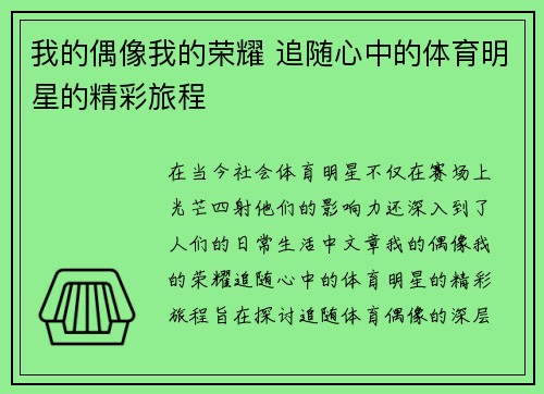 我的偶像我的荣耀 追随心中的体育明星的精彩旅程